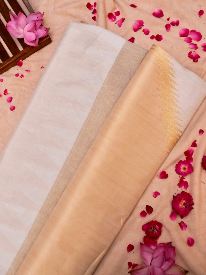 Handloom Tissue Silk Saree with Abstract Woven Design