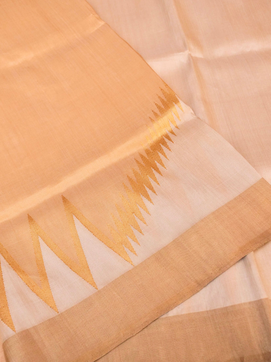 Handloom Tissue Silk Saree with Abstract Woven Design