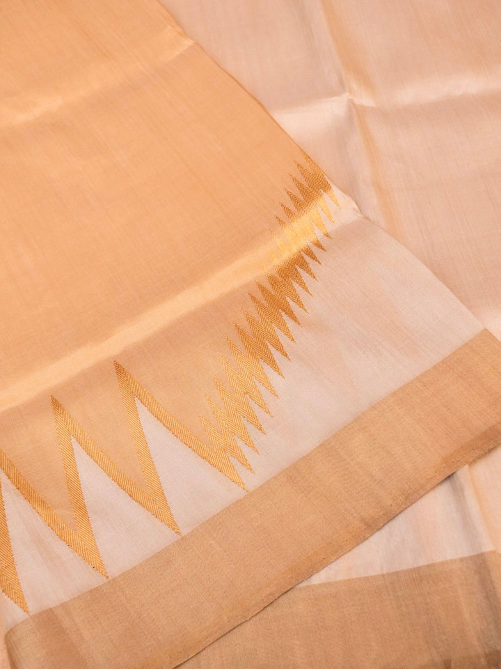 Handloom Tissue Silk Saree with Abstract Woven Design