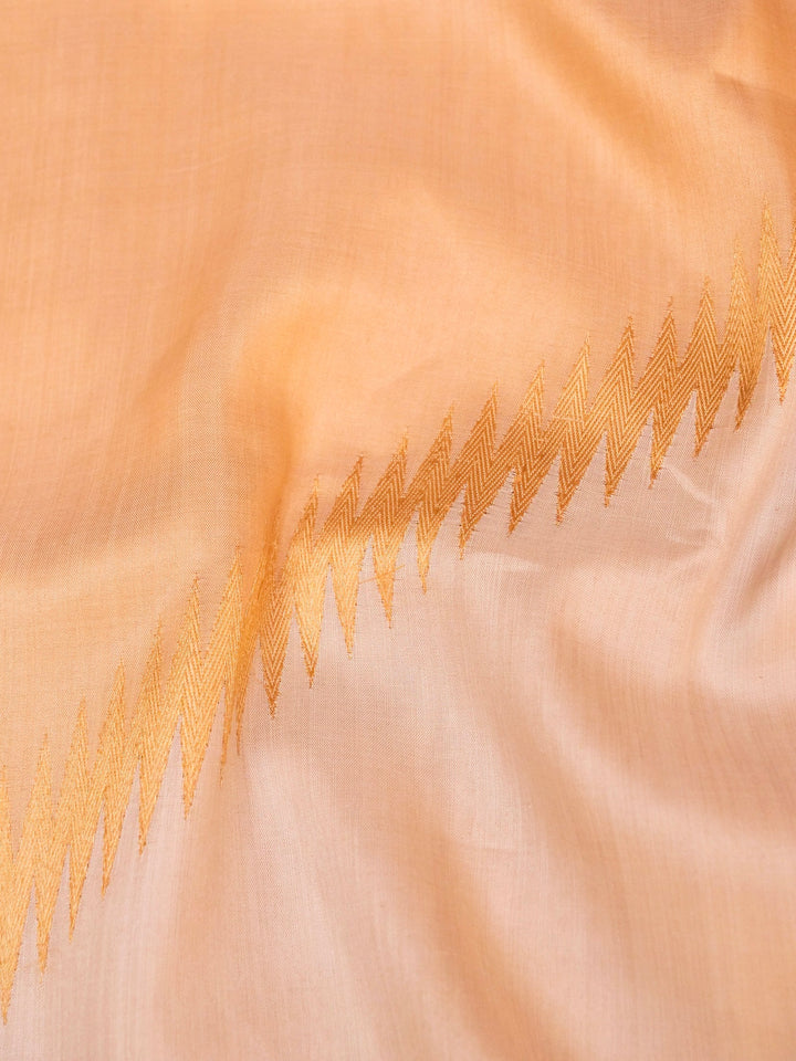 Handloom Tissue Silk Saree with Abstract Woven Design