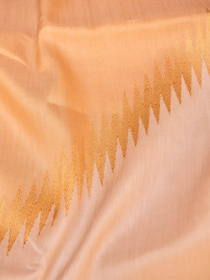 Handloom Tissue Silk Saree with Abstract Woven Design