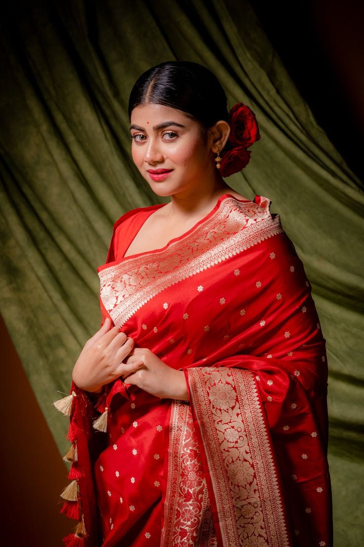 “Elegance Redefined: Top 5 Celebrities Who Master the Art of Wearing Banarasi Sarees”
