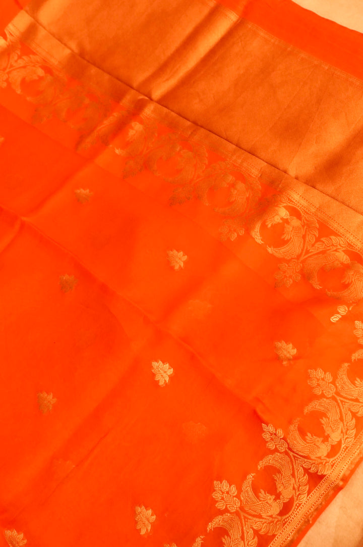 Rust Orange Organza Saree with Rich Satin Silk Border