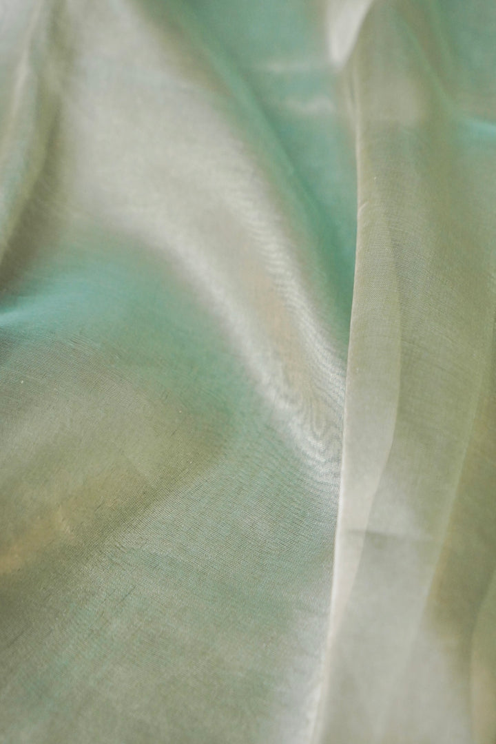 Aqua Radiance Tissue Silk Banarasi Saree View 4