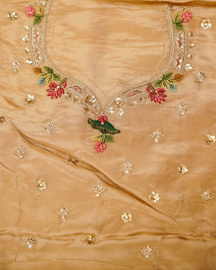 Beige Gold Lehenga Pattern Half Half Tissue Silk Meenakari Embroidery Saree View 13