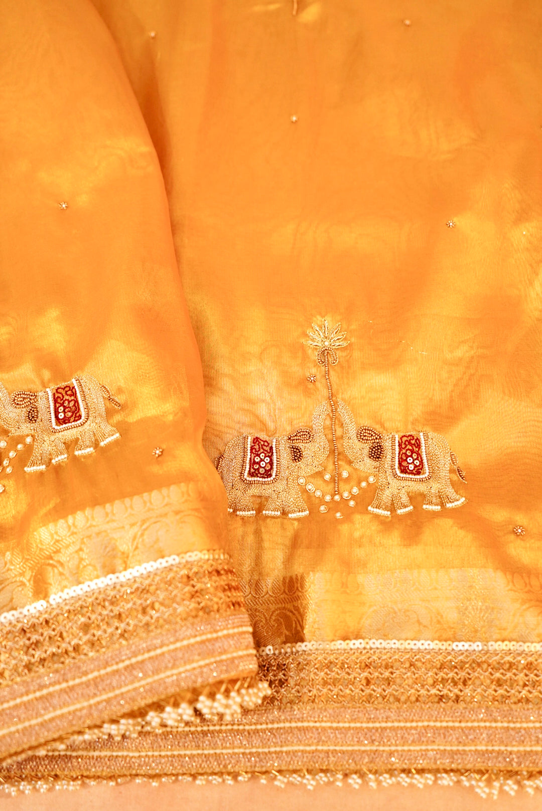 Golden Gajanan Maharani Tissue Saree with Hand Embroidery and Pearl Border