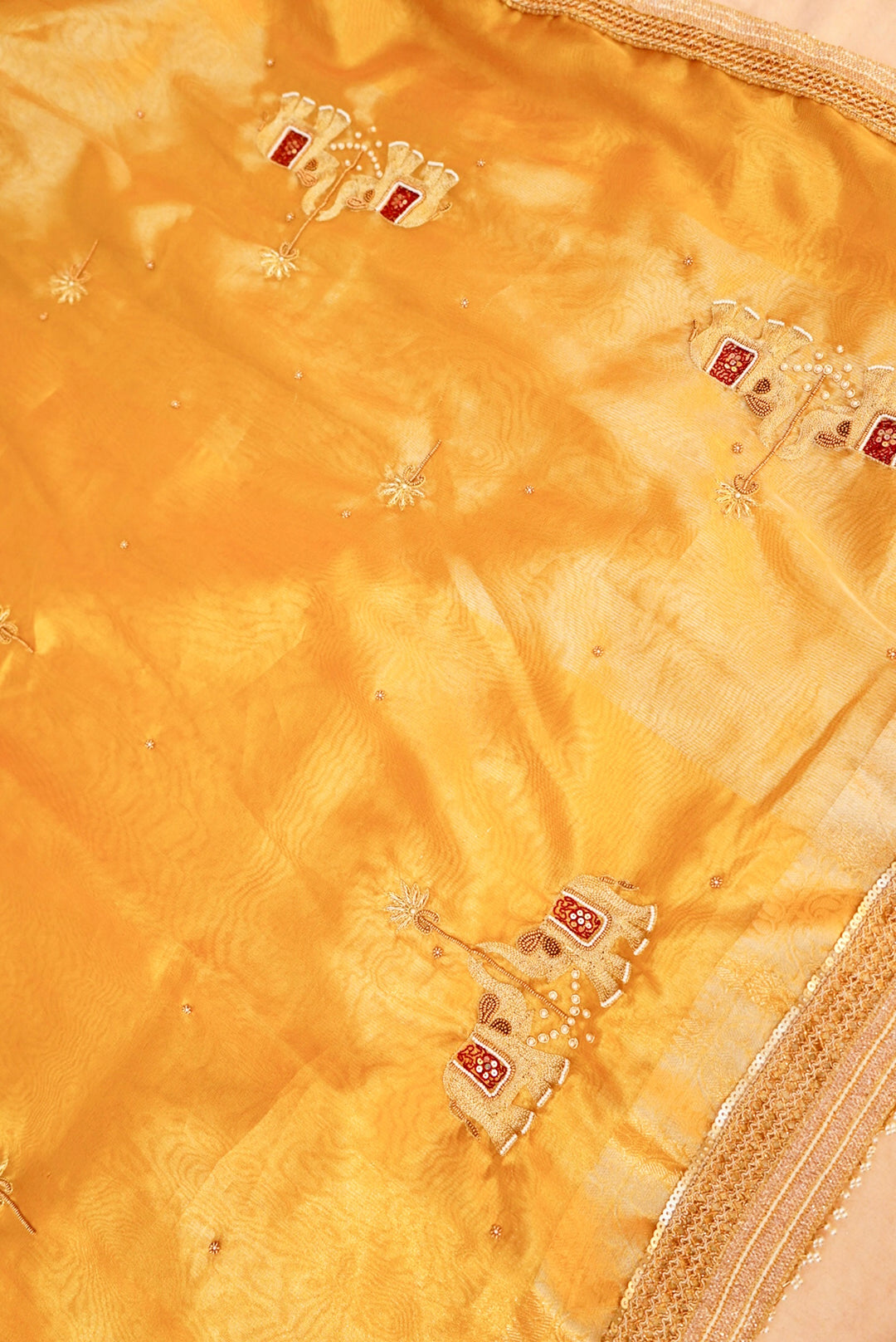 Golden Gajanan Maharani Tissue Saree with Hand Embroidery and Pearl Border