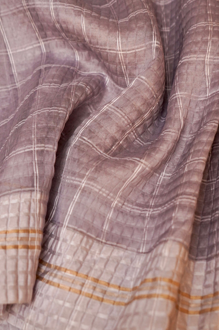 Grey Checkered Grace Pure Banarasi Silk Organza Saree View 4