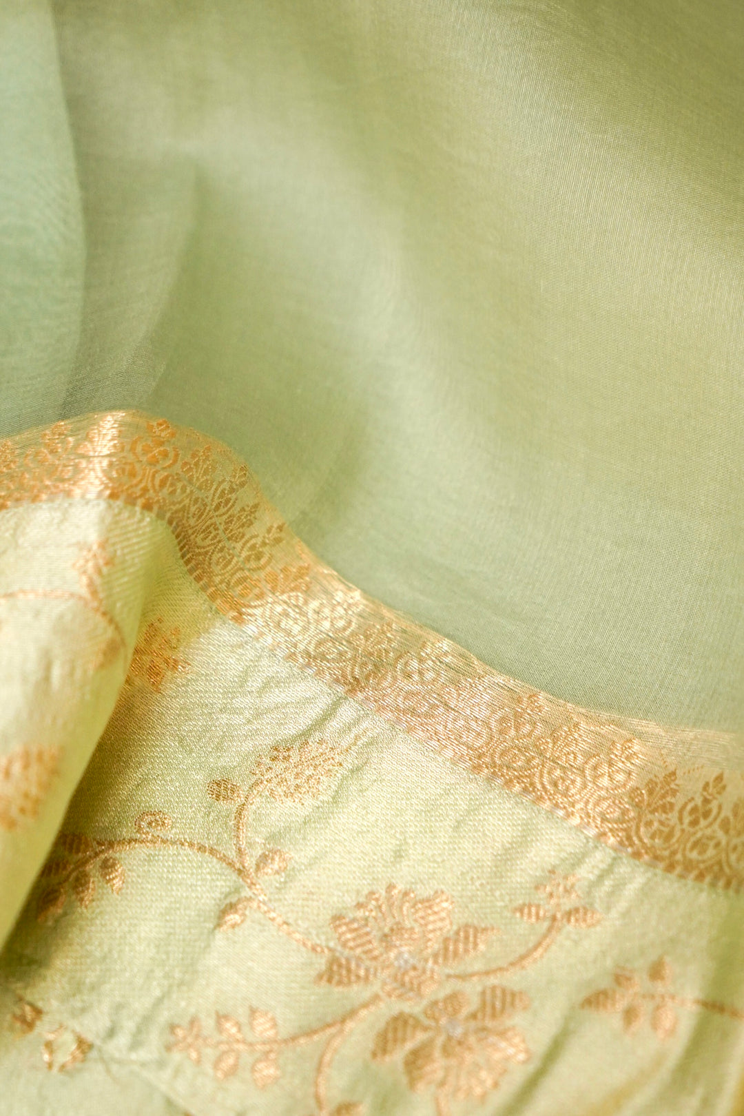 Banarasi Pastel Green Organza Silk Saree with Silk Weaving Border Closeup
