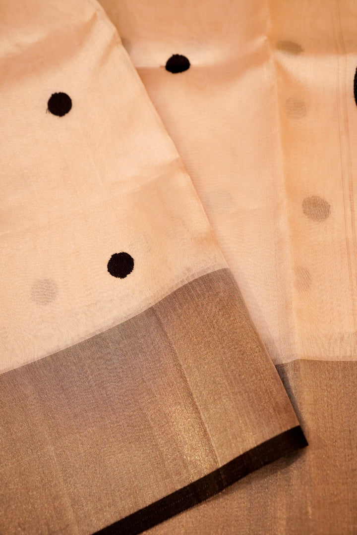 Silver Pure Banarasi Katan Tissue Saree with Black Contemporary Detailing