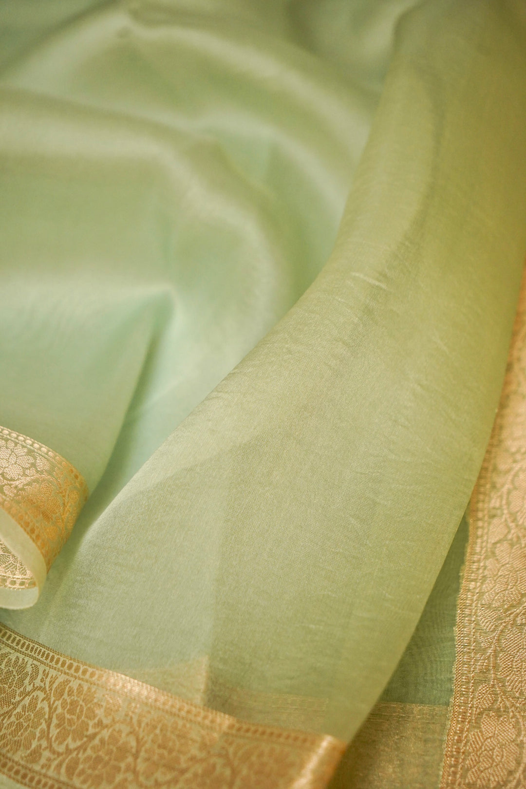 Pastel Green Zari Grace Border Pure Organza Silk Saree Cover