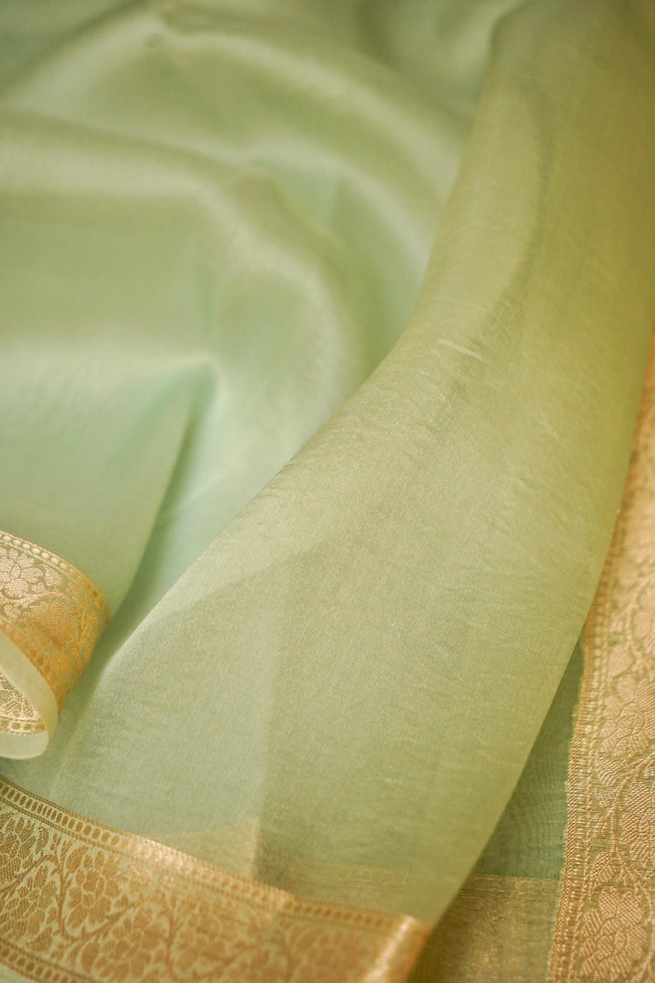Pastel Green Zari Grace Border Pure Organza Silk Saree Cover