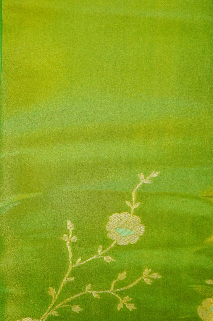 Light Green Banarasi Tissue Silk Saree with Meenakari Jangla Top and Elephant Motif Dupatta