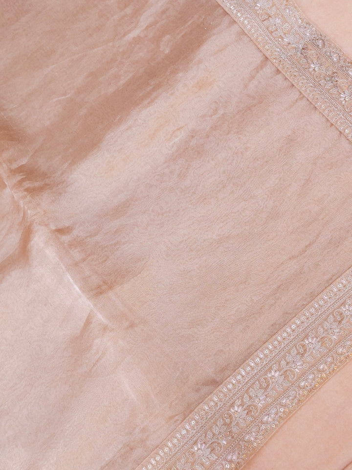 Beige Gold Pure Katan Tissue Saree with Pitta Zari Sequin Border and Heavy Embroidered Georgette Blouse View 2