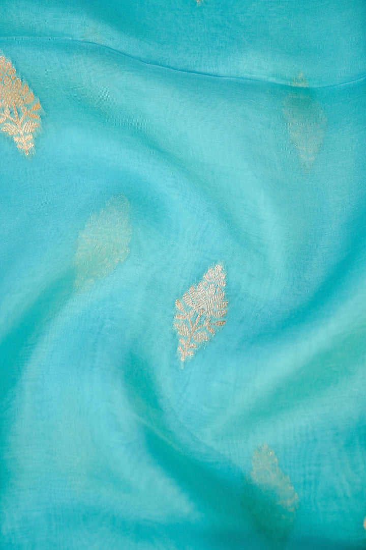 Elegant Aqua Blue Muslin Organza Saree with Birds Motif Meenakari Border