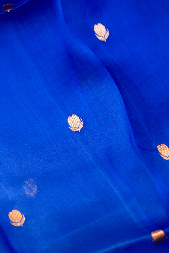 Royal Blue Handloom Raw Silk Suit with Organza Dupatta