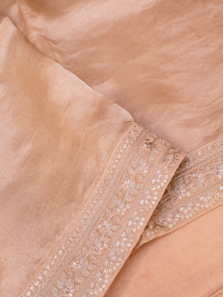 Beige Gold Pure Katan Tissue Saree with Pitta Zari Sequin Border and Heavy Embroidered Georgette Blouse View 3