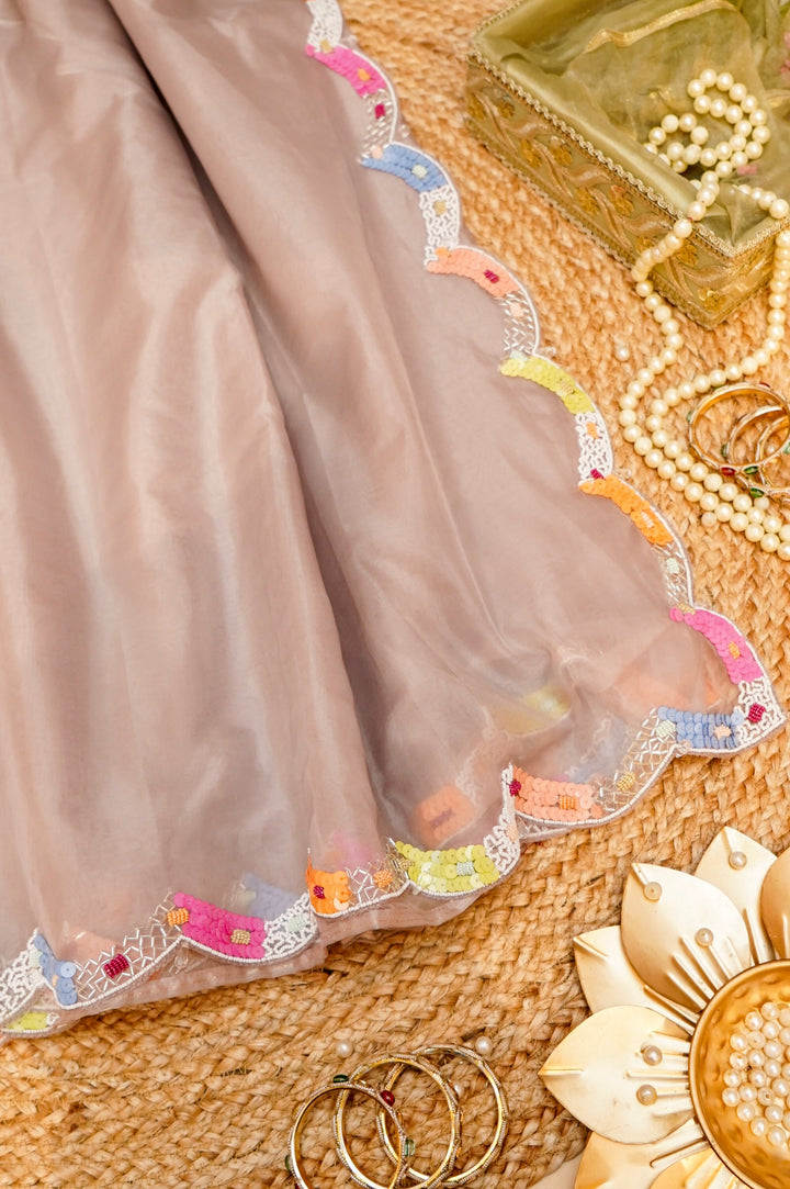 Perfect Carnival Organza Saree with Multicolour Embroidered Blouse View 1