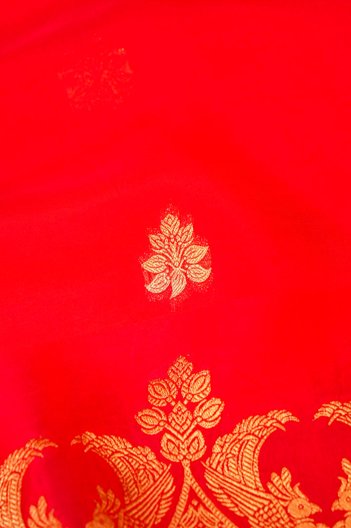 Bridal Pink Organza Saree with Opulent Satin Silk Border