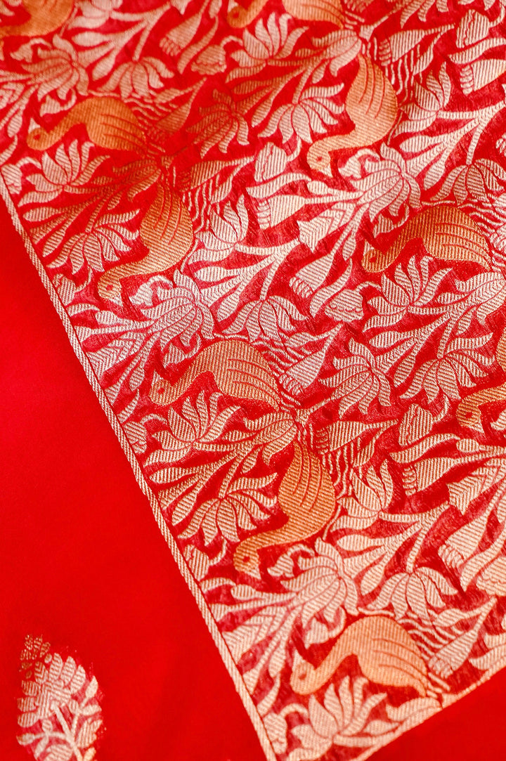 Regal Red Wedding Wear Sonaroopa Muslin Organza Bridal Saree