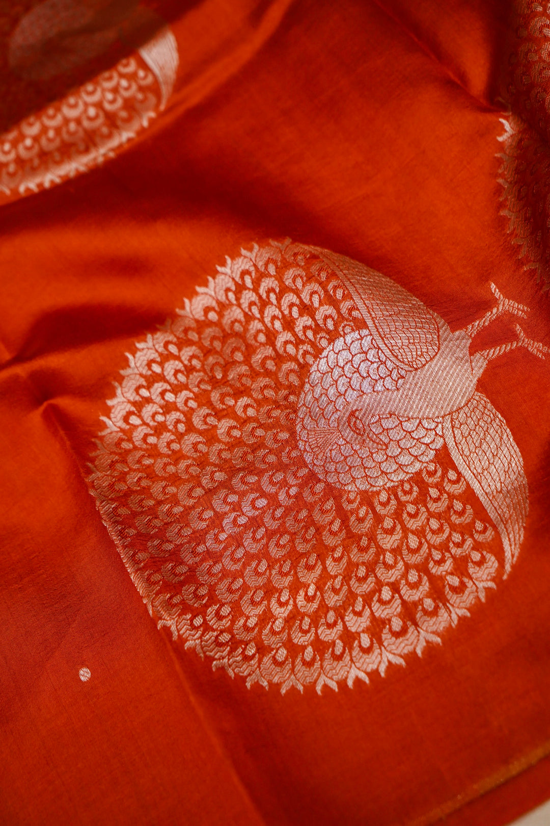 Rust Orange Peacock Motif Pure Silk Banarasi Saree View 4