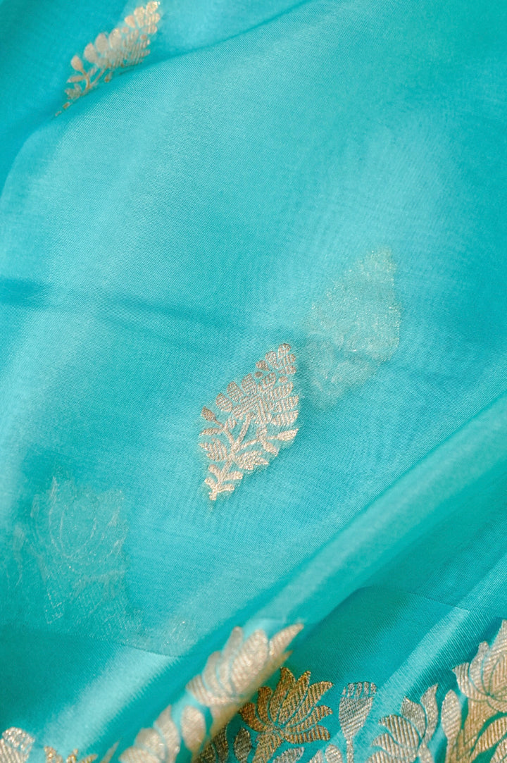 Elegant Aqua Blue Muslin Organza Saree with Birds Motif Meenakari Border