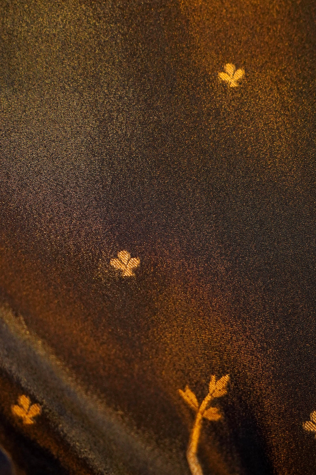 Dark Grey Banarasi Tissue Silk Saree with Meenakari Jangla Top and Elephant Motif Dupatta