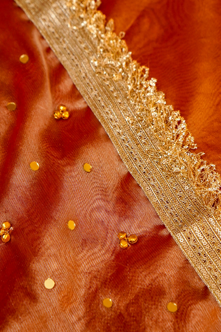Pumpkin Orange Viral Ghungru Tissue Silk Saree with Mirror Work View 7
