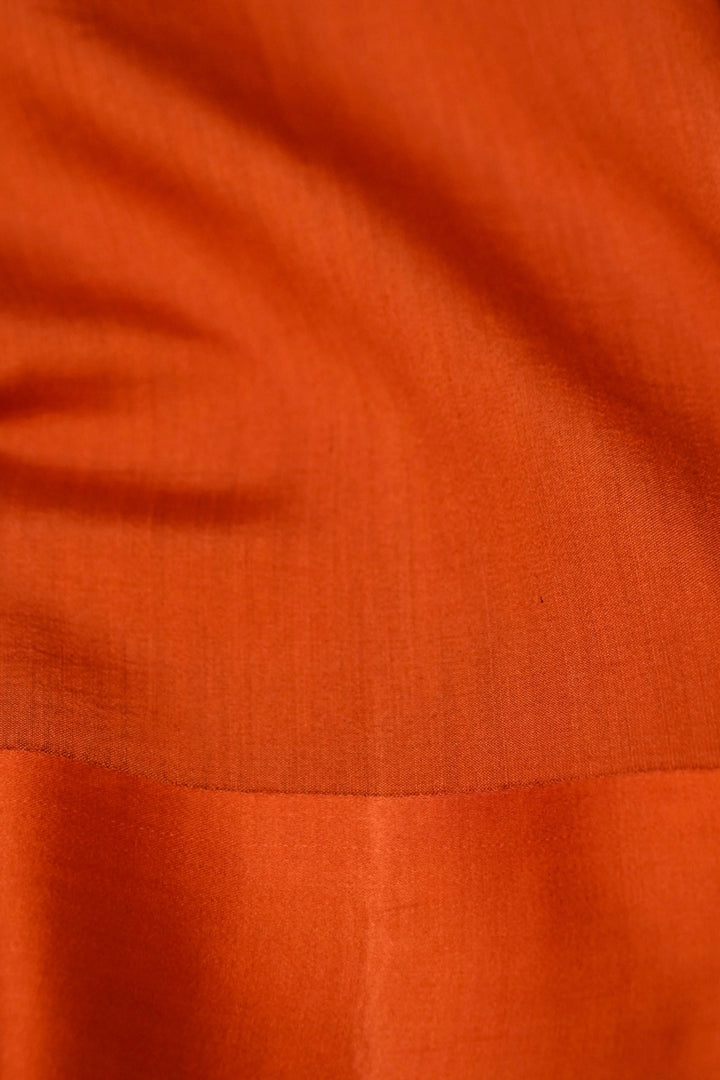 Burnished Rust Banarasi Pure Tissue Silk Saree View 6