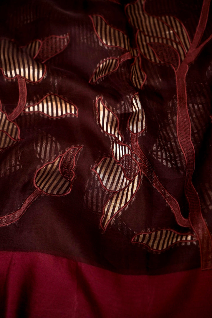 Elegance Coffee Brown Pure Organza Appliqué Work Banarasi Brocade Saree View 5