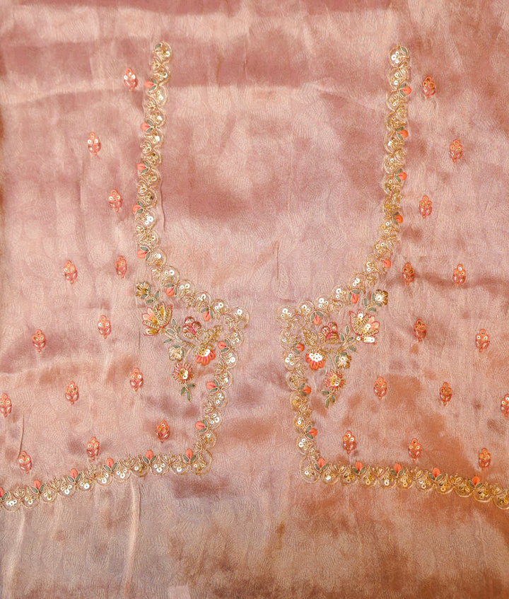 Designer Powder Pink Tissue Silk Multicolour Meenakari Embroidery Saree View 7