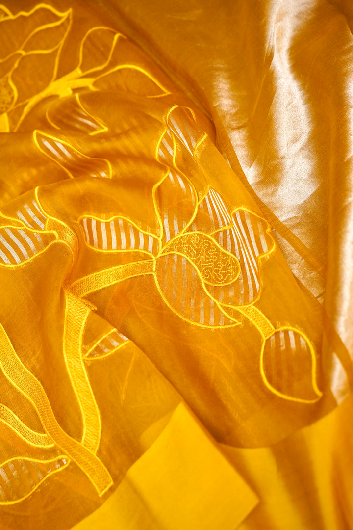 Haldi Wear Pure Organza Saree with Banarasi Brocade Appliqué Work View 5