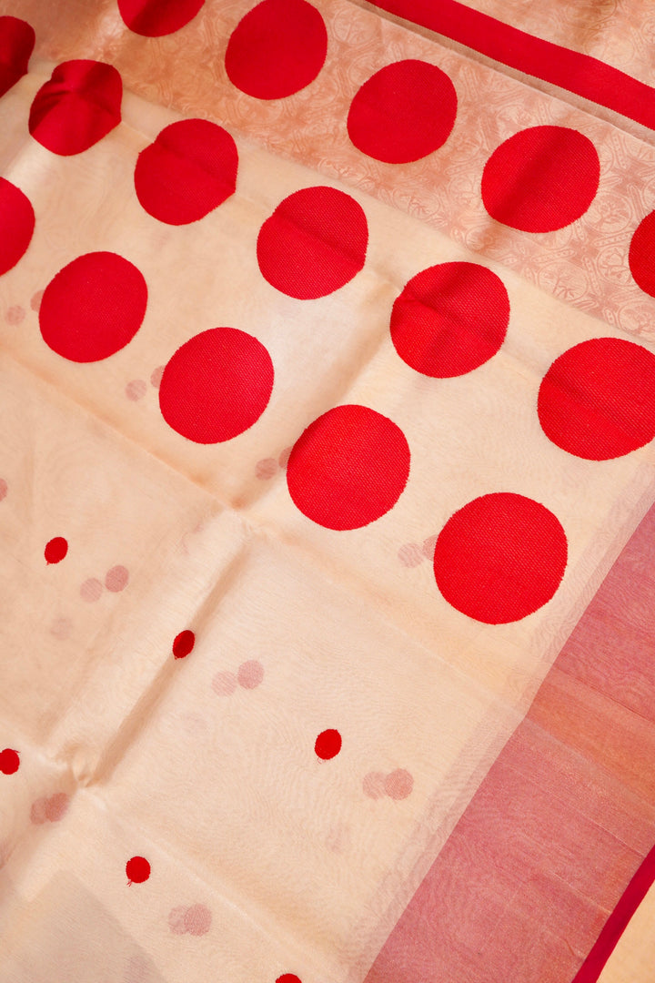 Silver Pure Banarasi Katan Tissue Saree with Contemporary Pink Accents