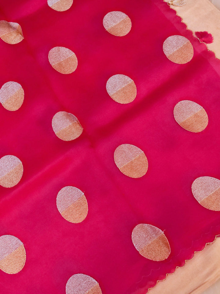 Handwoven Pink Pure Organza Saree with Dull Gold Embroidery Handloom Katan Silk Blouse View 2