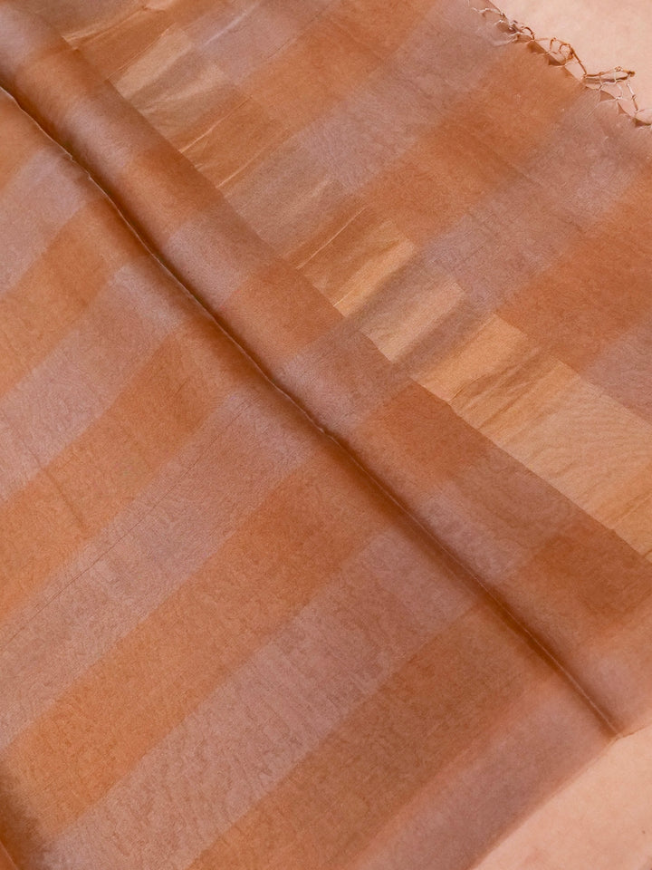 Handwoven Pure Tissue Silk Saree with Resham Hand Embroidered Blouse View 2