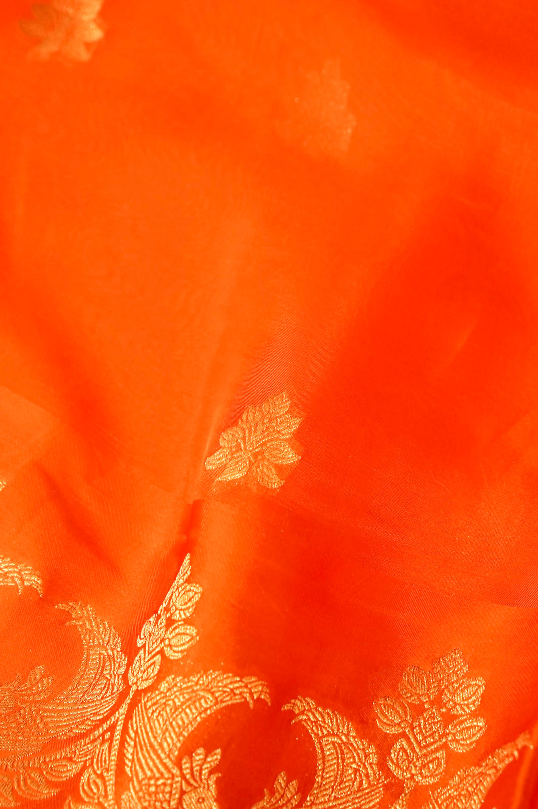 Rust Orange Organza Saree with Rich Satin Silk Border