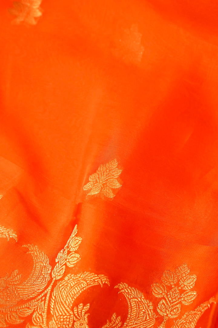 Rust Orange Organza Saree with Rich Satin Silk Border