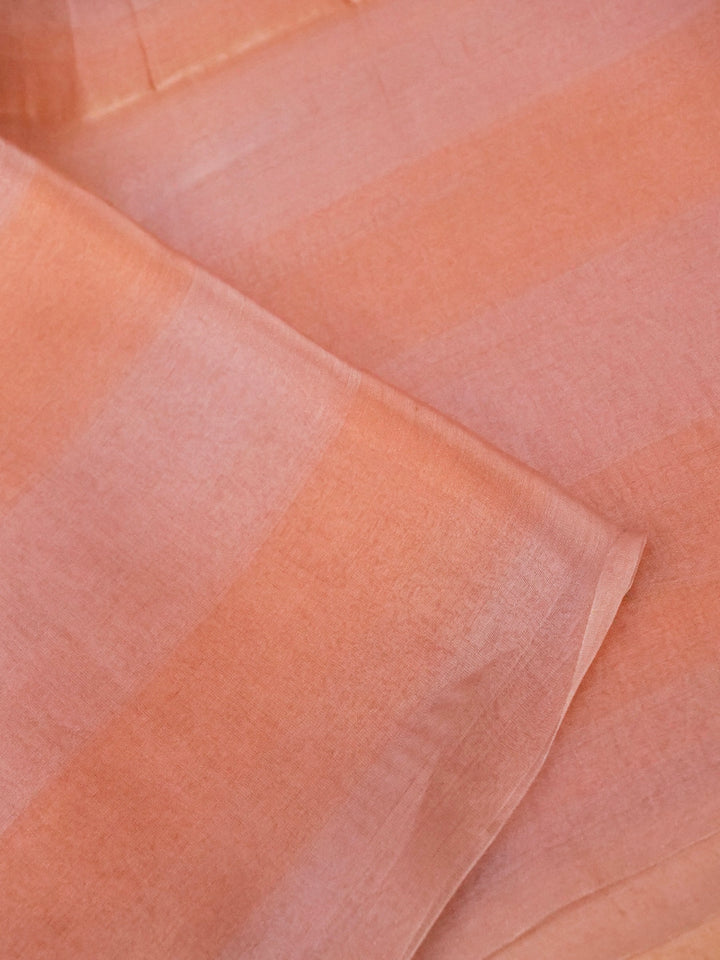 Handwoven Pure Tissue Silk Saree with Resham Hand Embroidered Blouse View 3