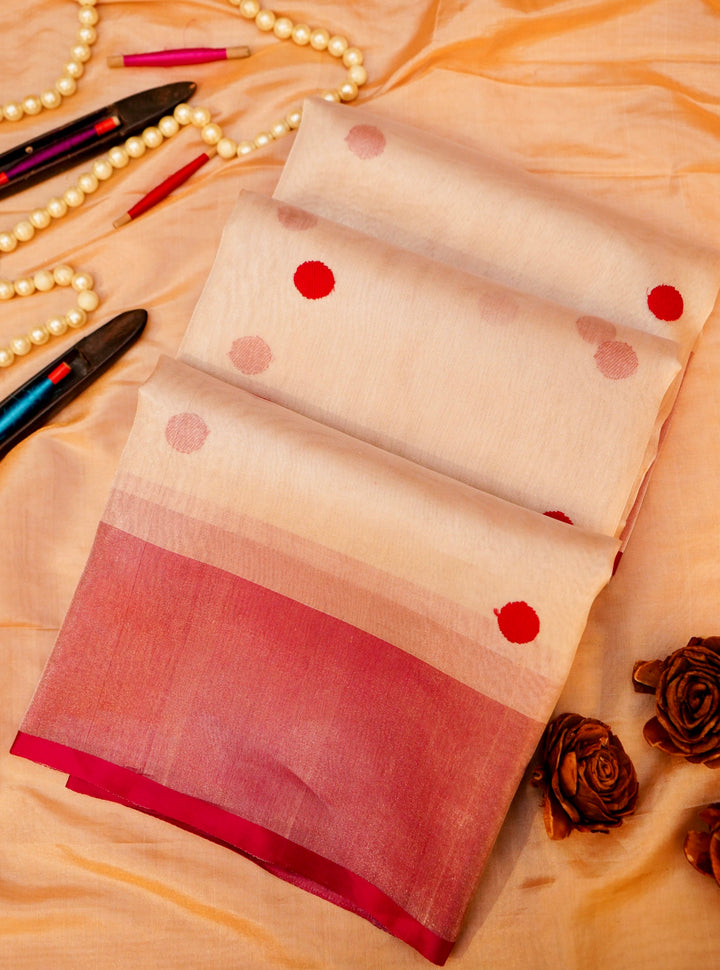 Silver Pure Banarasi Katan Tissue Saree with Contemporary Pink Accents