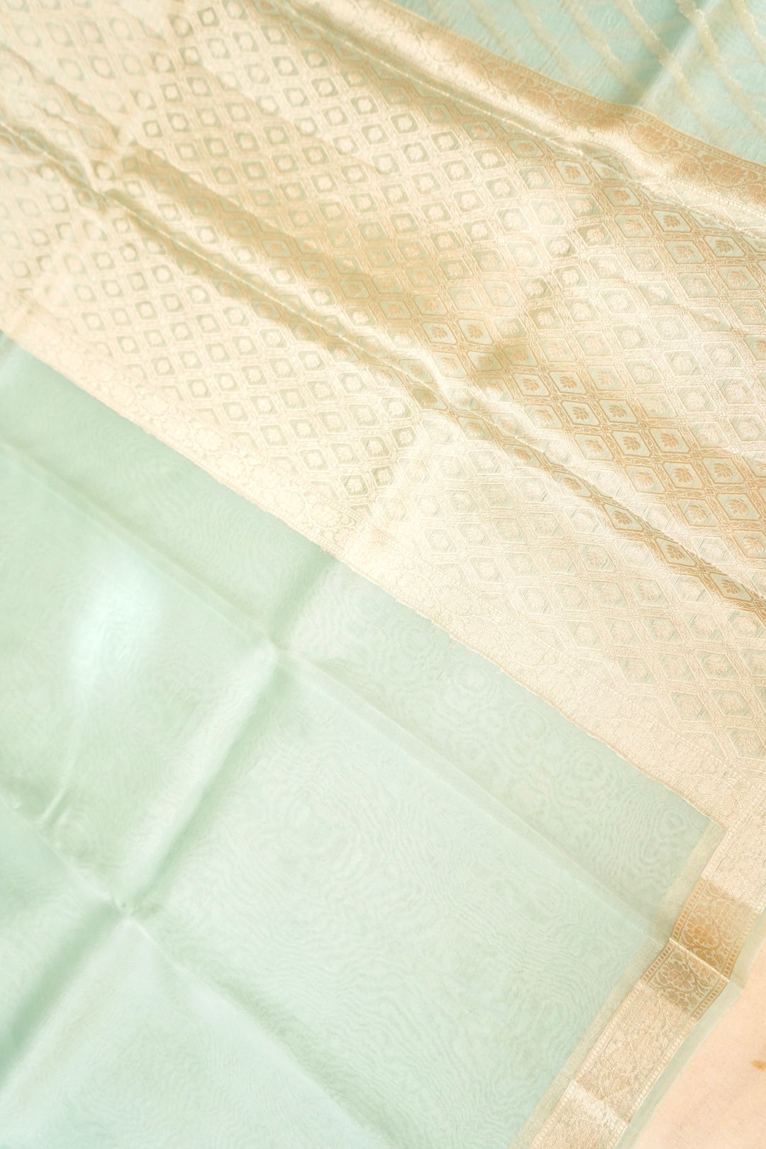 Pastel Green Zari Grace Border Pure Organza Silk Saree Open View
