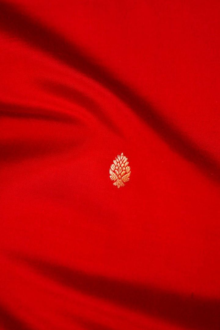 Raw Mango Bridal Splendor – Handwoven Banarasi Pure Katan Silk Saree with Birds Motif Border