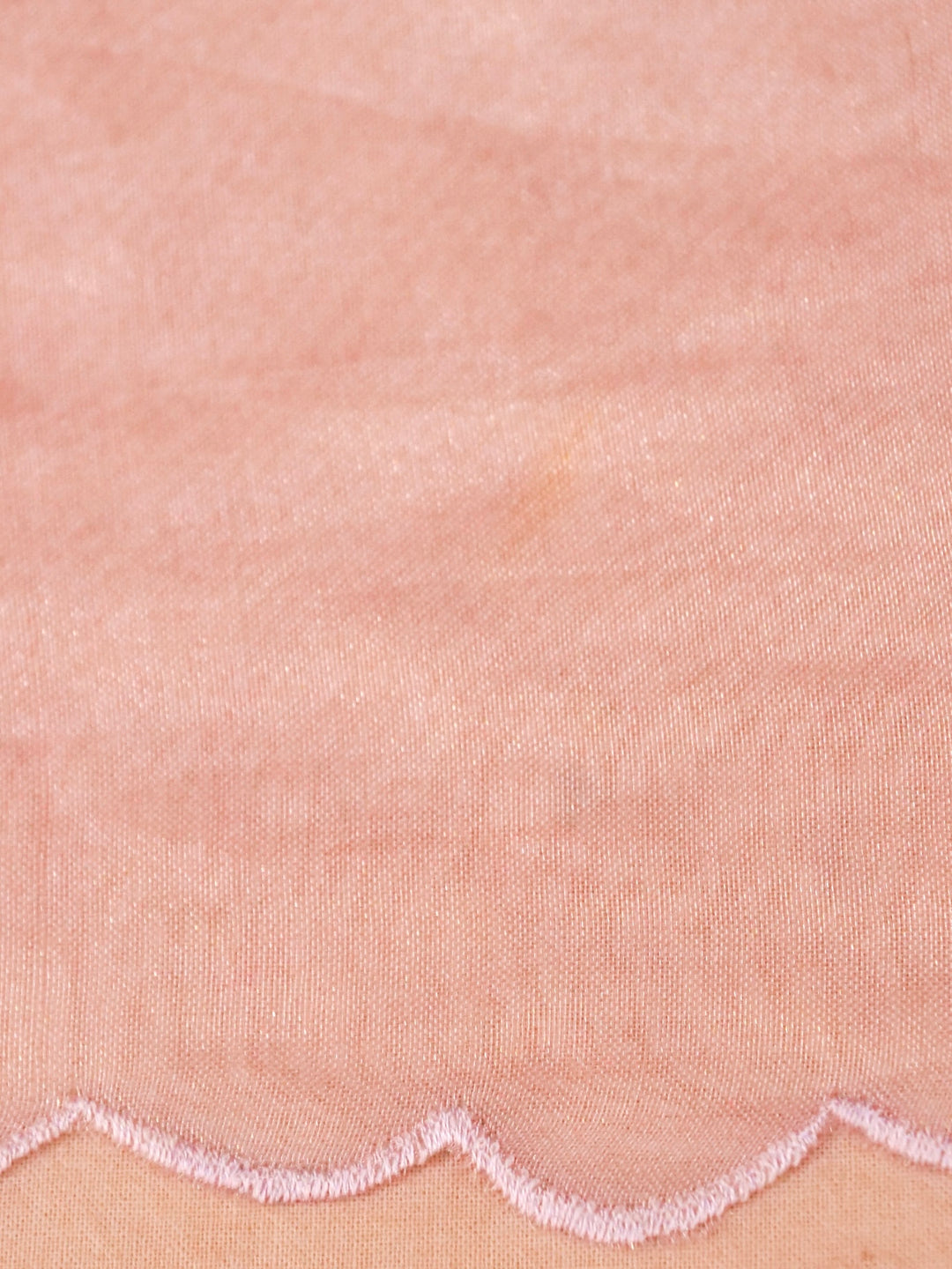 Rose Gold Pure Handloom Tissue Saree with Scallop Border Placement Appliqué Embroidery View 1