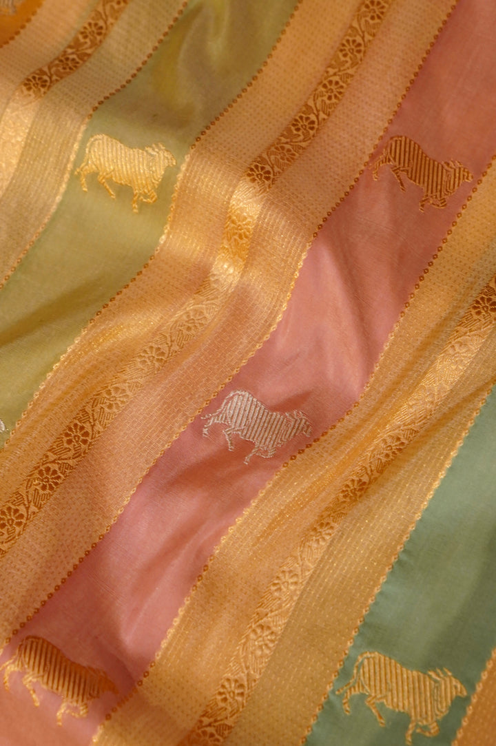 Nandini – Handwoven Rangkat Banarasi Pure Organza Tissue Silk Saree