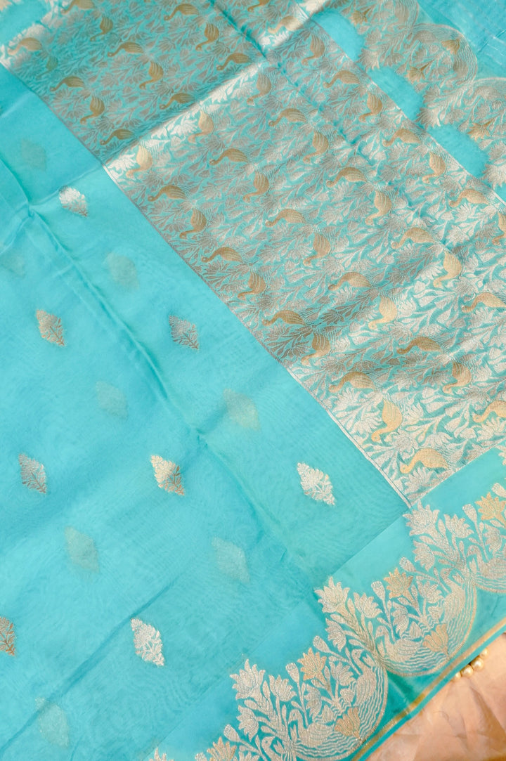Elegant Aqua Blue Muslin Organza Saree with Birds Motif Meenakari Border