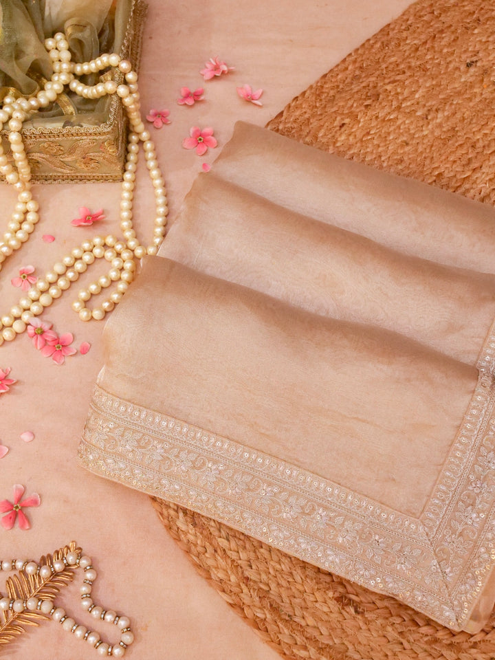 Beige Gold Pure Katan Tissue Saree with Pitta Zari Sequin Border and Heavy Embroidered Georgette Blouse View 1