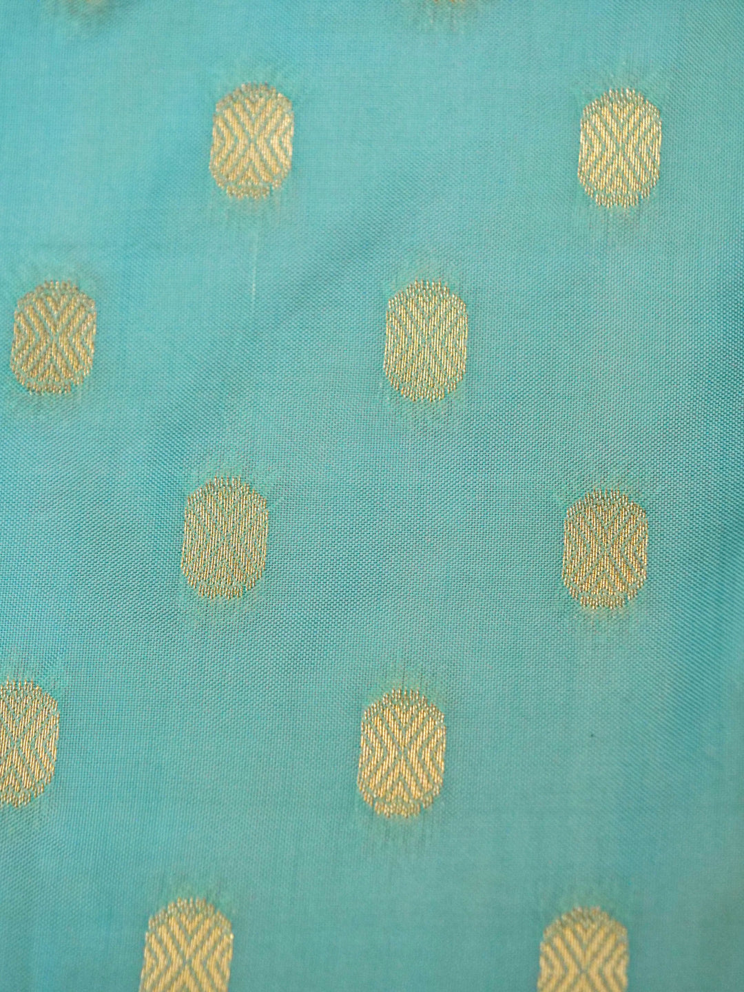 Rose Gold Banarasi Tissue Soft Silk Saree with Printed Bird Motifs
