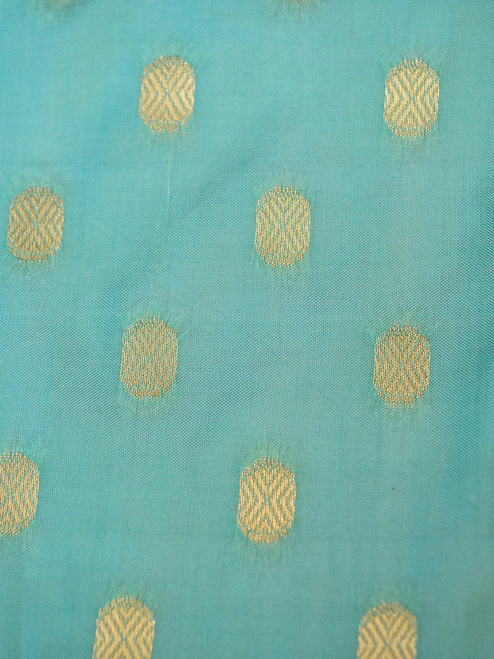Rose Gold Banarasi Tissue Soft Silk Saree with Printed Bird Motifs