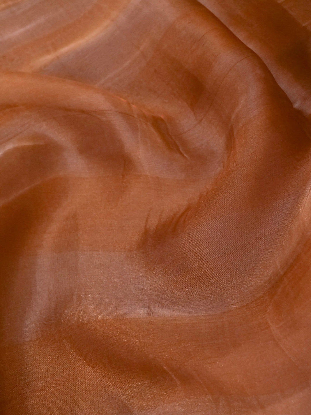 Handwoven Pure Tissue Silk Saree with Resham Hand Embroidered Blouse View 4