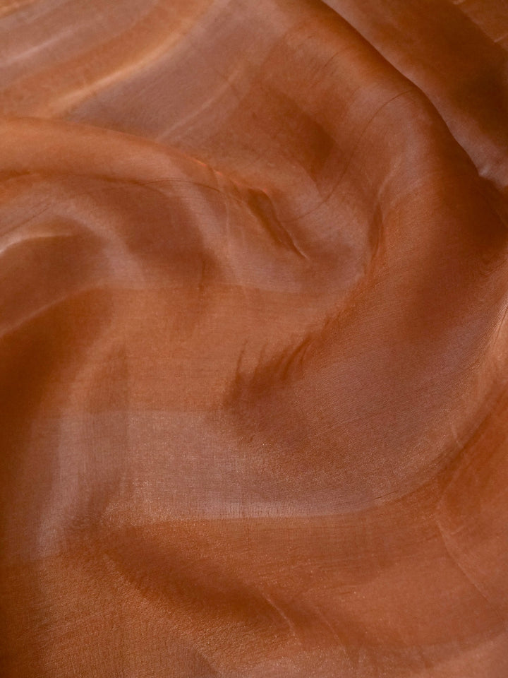 Handwoven Pure Tissue Silk Saree with Resham Hand Embroidered Blouse View 4
