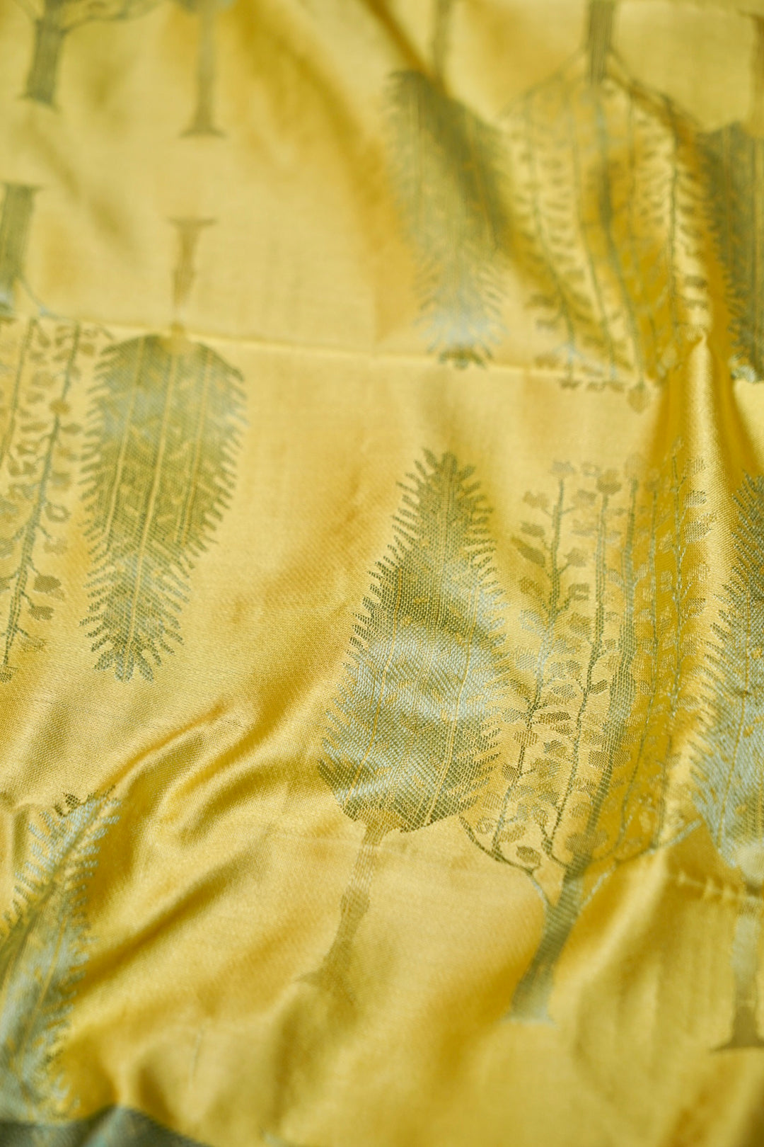 Neon Yellow Handwoven Pure Banarasi Tanchoi Silk Saree